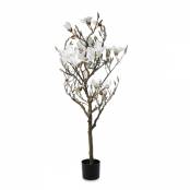 Magnolia FA D0506200