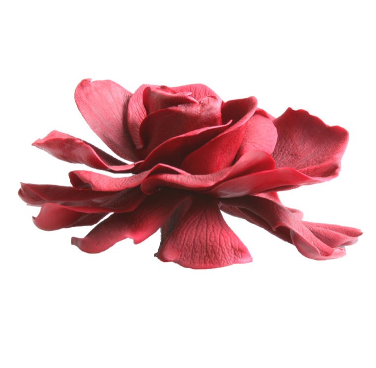 ZVB GARDENIA BURGUNDY 8435056094925