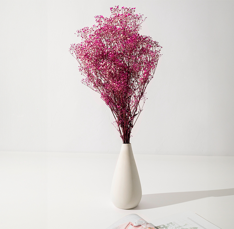 ZVB GYPS BRIGHT PINK 8435056104372