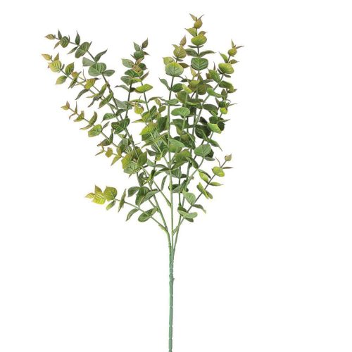 Eukaliptusz csokor- 3 ágú- 70cm magas - Zöld / Barna