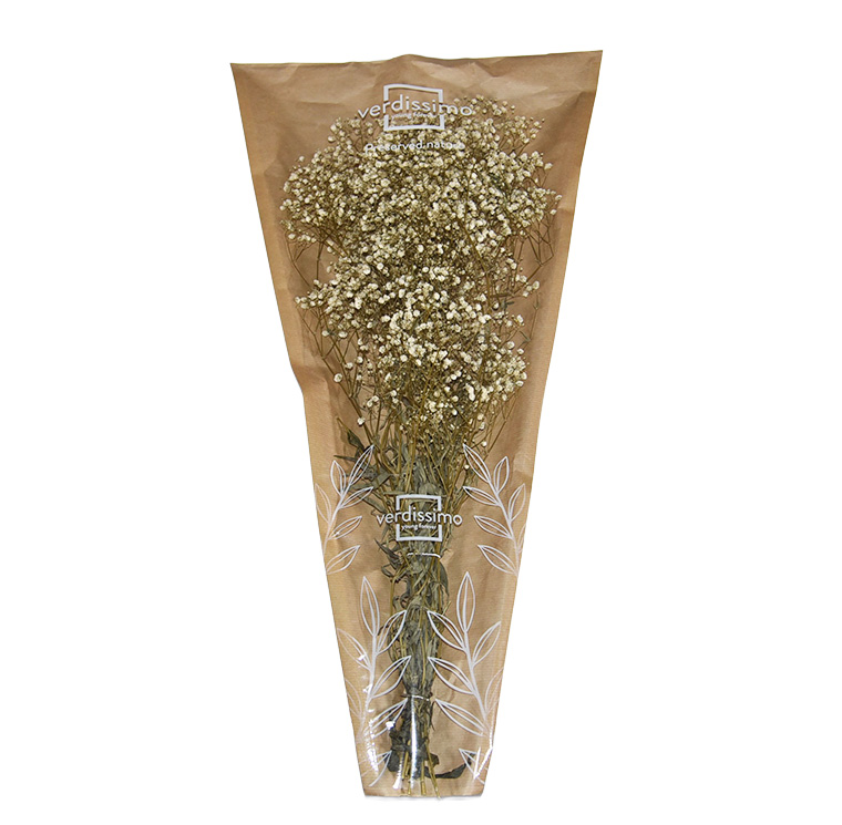 ZVB GYPS CREAM 8435056100190