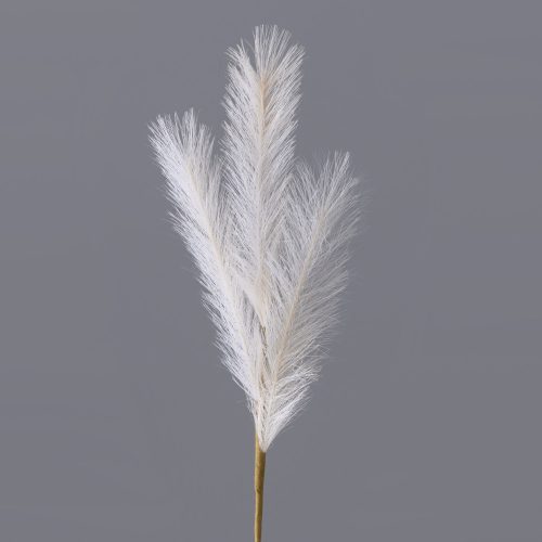 4 ágú pampafű ág- 58cm magas - Ekrü