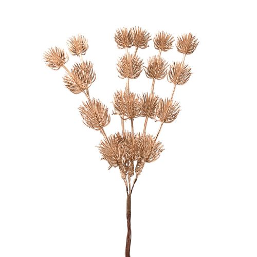 Bogáncsos dekor köteg- 6 szál- 24 cm magas - Arany