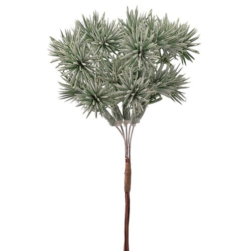 Bogáncs dekor köteg ⌀ 2 cm- 6 szál- 14 cm magas - Zöld