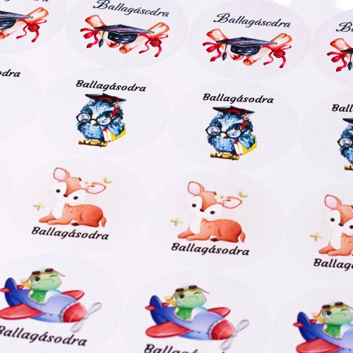 Ballagási matrica szett- 24db.-os - 5cm