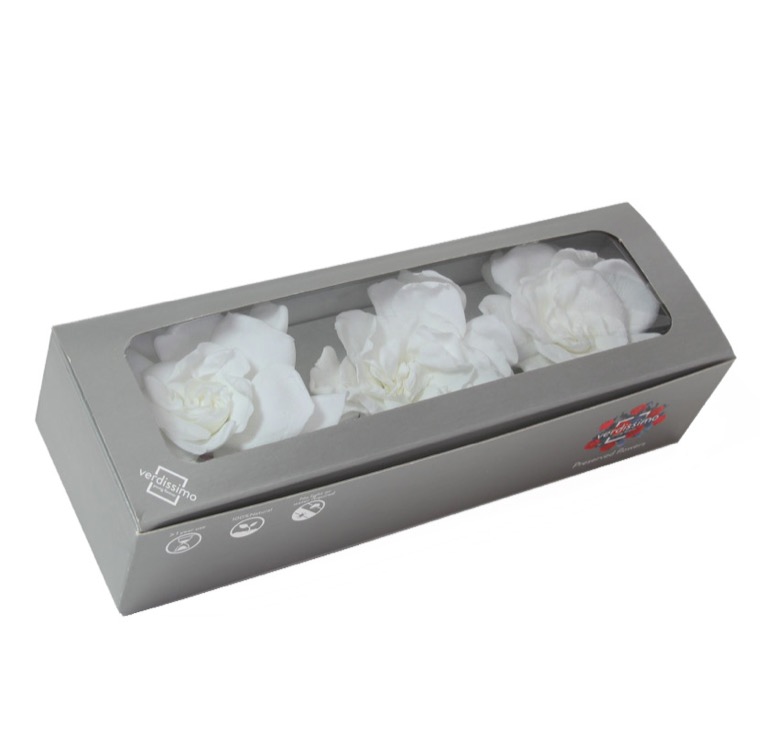 ZVB GARDENIA WHITE 8435056094895