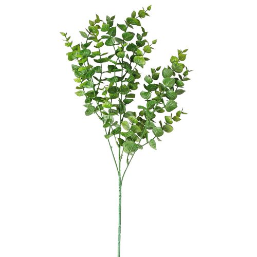 Eukaliptusz csokor- 3 ágú- 70cm magas - Sötétzöld